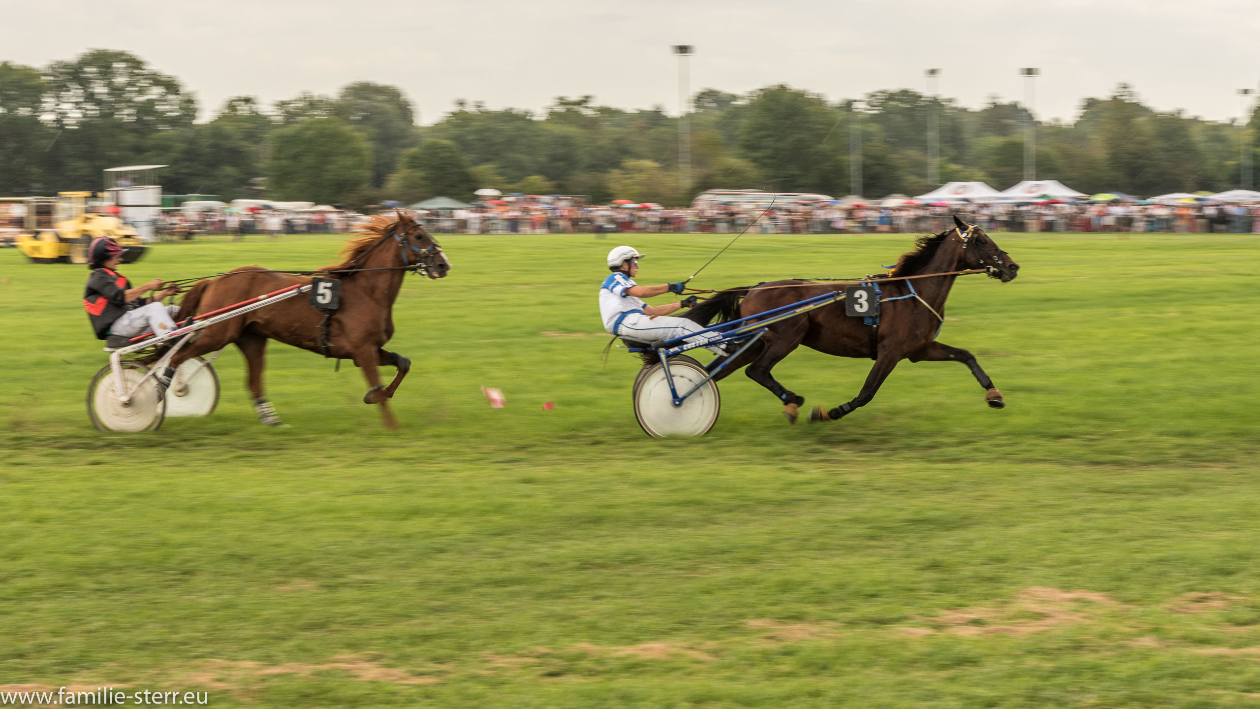 Trabrennen in Erding 2017